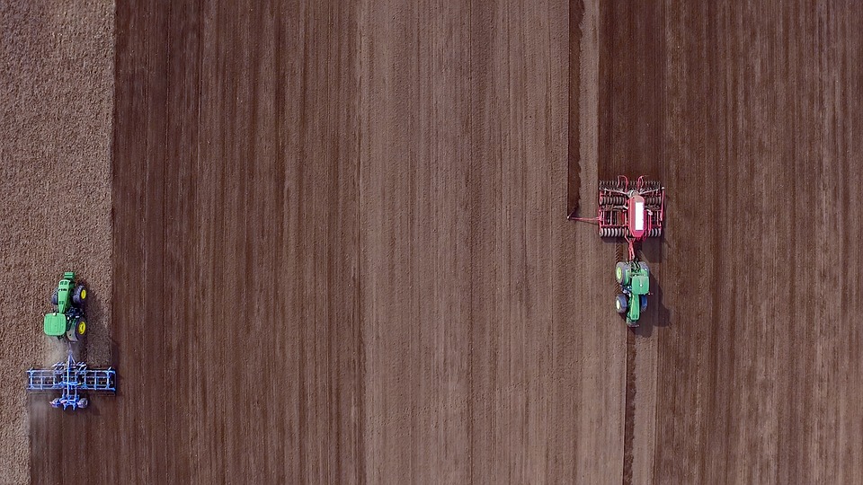 Plantio de soja no Brasil alcança 58,4% da área prevista, segundo Conab