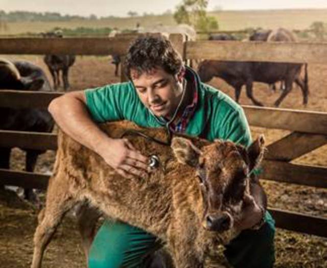 Fonte: Conselho Federal de Medicina Veterinária