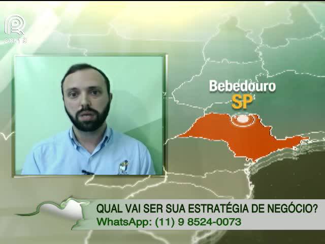 Boi gordo e o fechamento do mercado nesta quinta