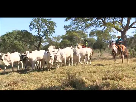 Divulgação Na Estrada 2014 – Programa 10: Suplemento mineral (Vídeo 1)