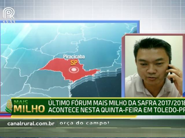 Fórum Mais Milho vai a Toledo, no Paraná