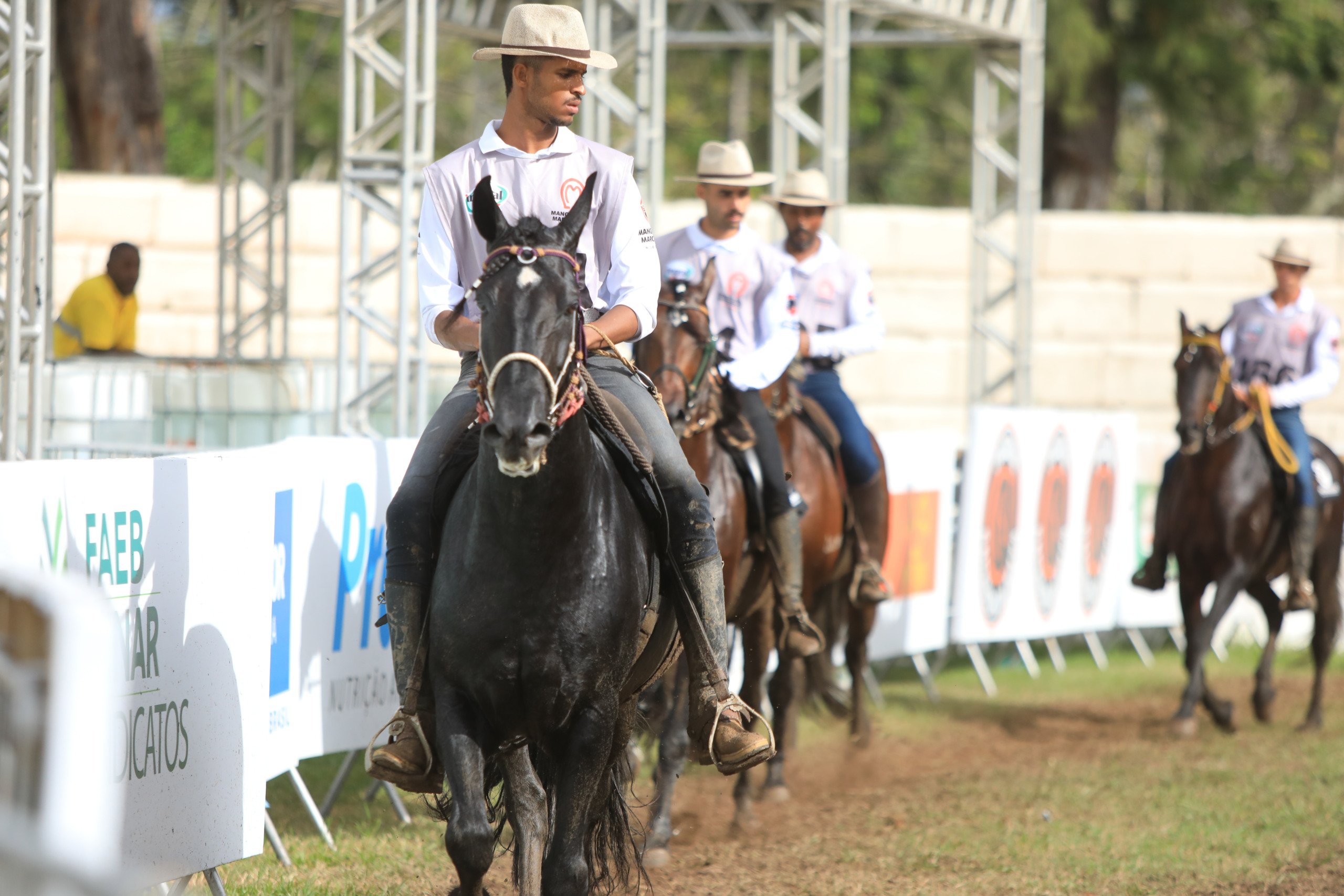 mangalarga marchador