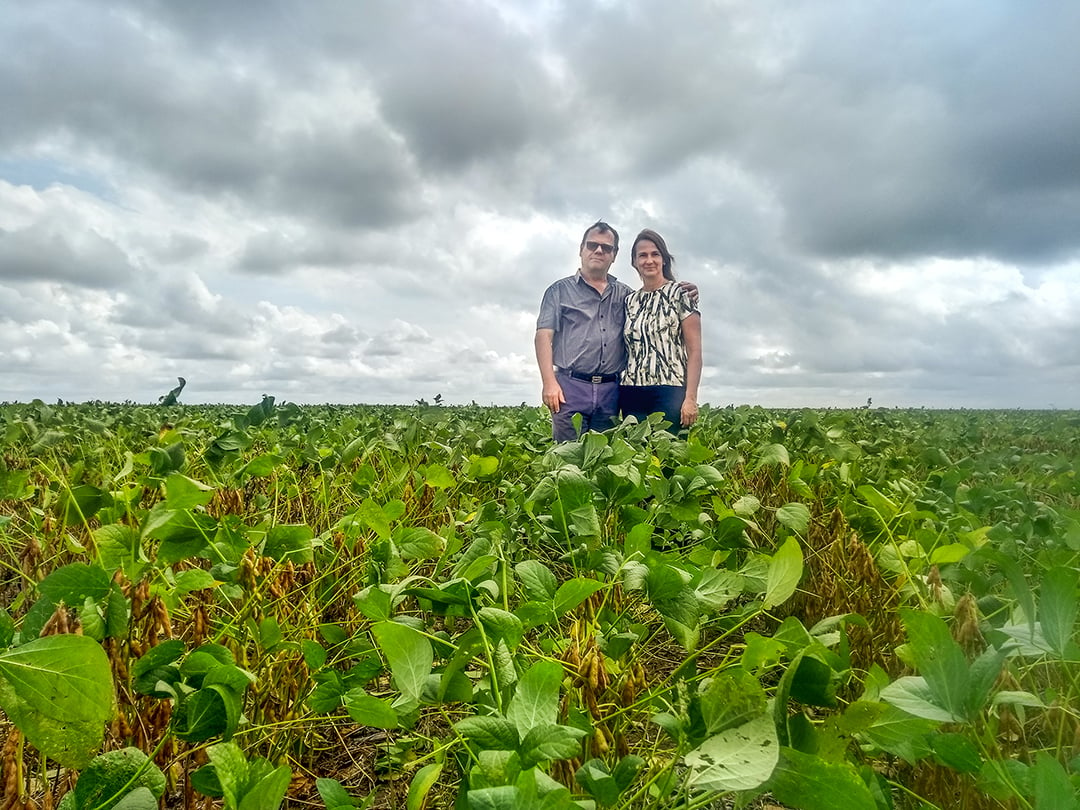 soja piauí produtores soja