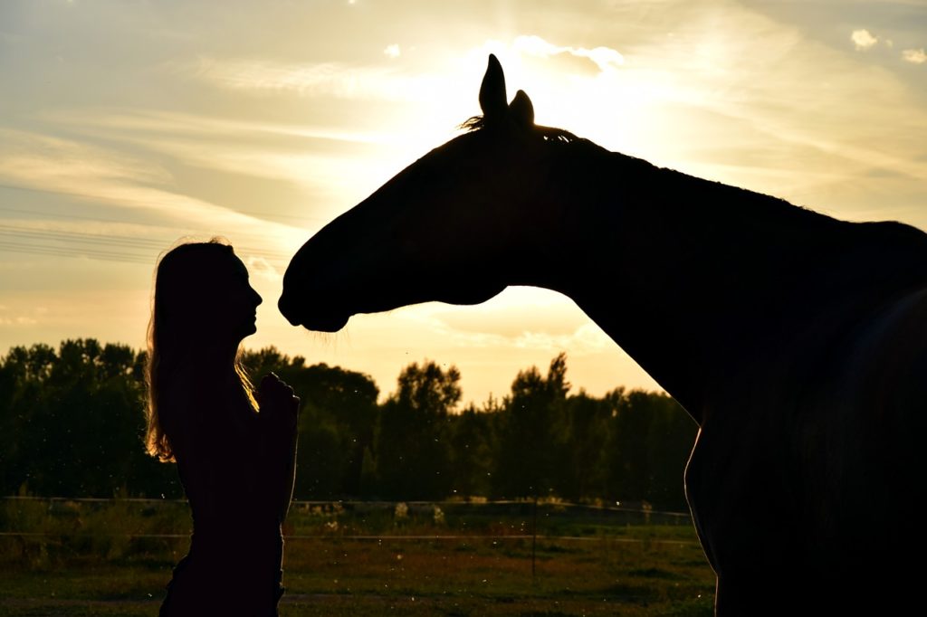 soro com anticorpos de cavalos