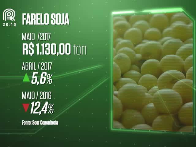 Milho: preço melhora poder de compra do pecuarista