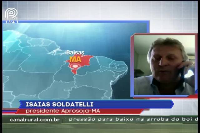 Safra de milho tem 70% de quebra no Maranhão