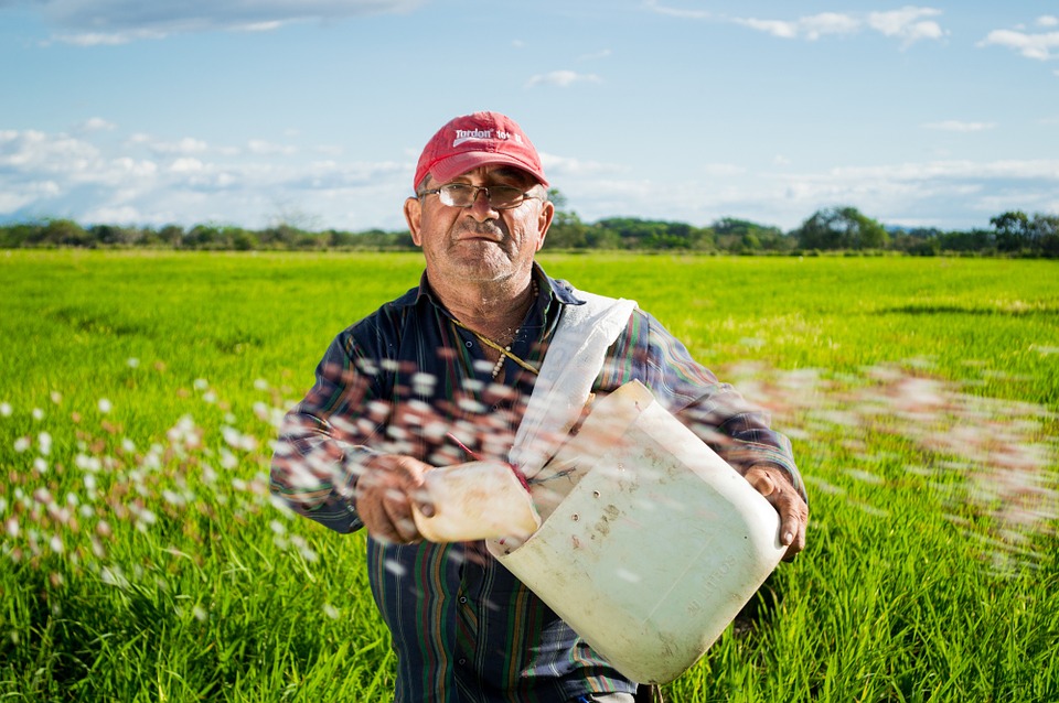 Produtor rural, inss, reforma da Previdência, aposentadoria