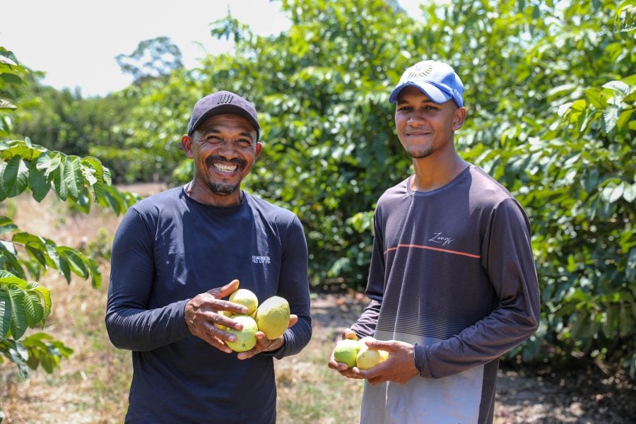 Coopera, Agroindústria de polpa de frutas, agricultores familiares, Litoral Norte da Bahia