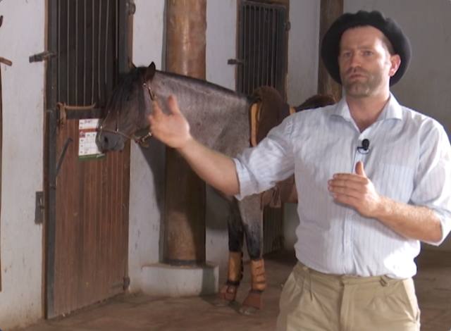 Bem-estar: cuidados no preparo e provas com cavalo