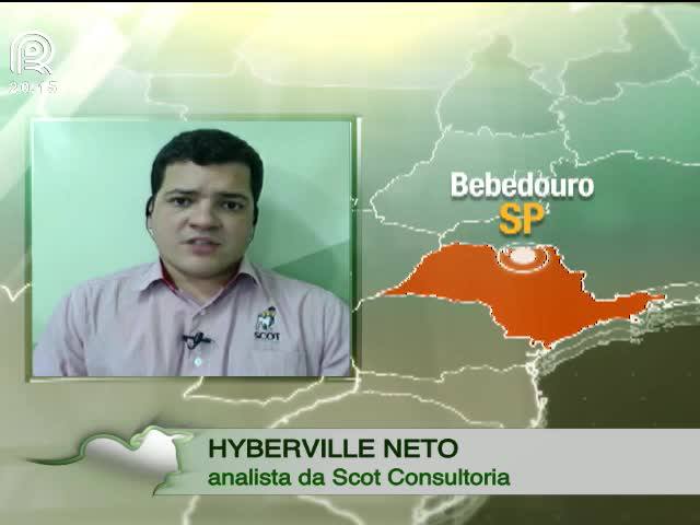 Carne bovina: exportações continuarão em queda?