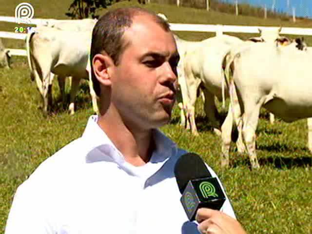 Saiba como cuidar do gado no período de frio