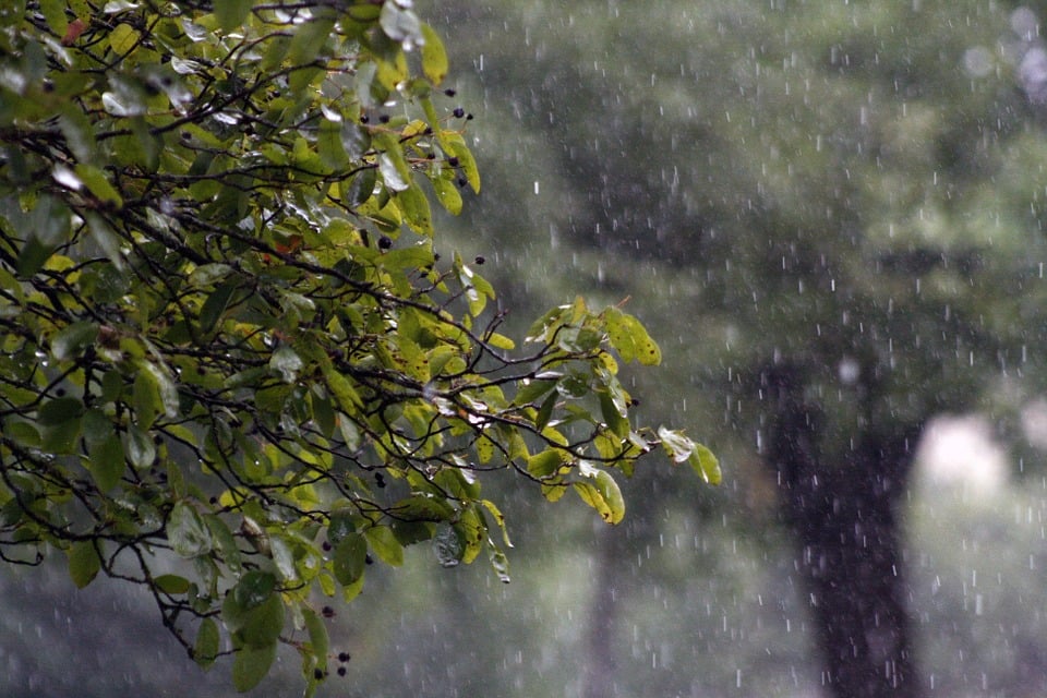 clima tempo chuva previsão do tempo