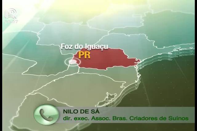 Suínos: acordo com EUA não preocupa produtores