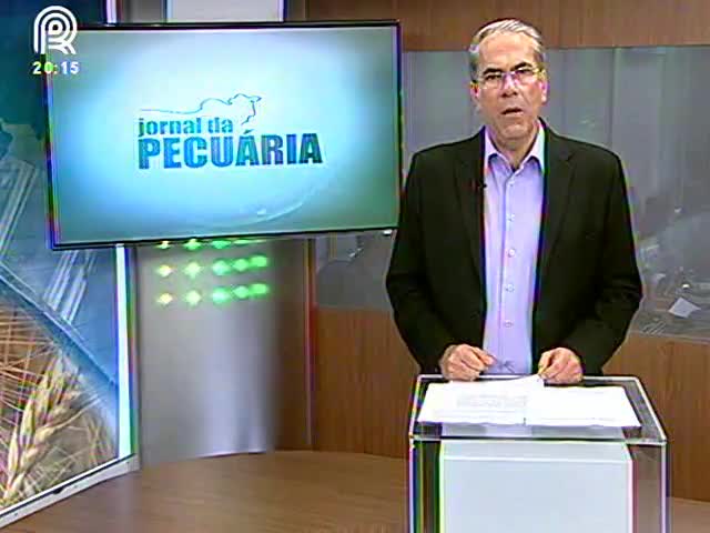 Plano Safra: sobe limite de crédito ao pecuarista