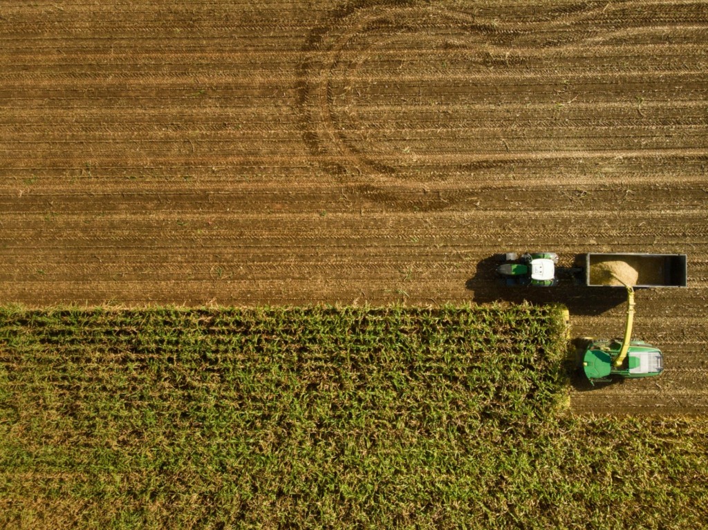 Salário de até R$ 60 mil no agro: veja quais regiões oferecem os melhores ganhos Salário de até R$ 60 mil no agro: veja quais regiões oferecem os melhores ganhos