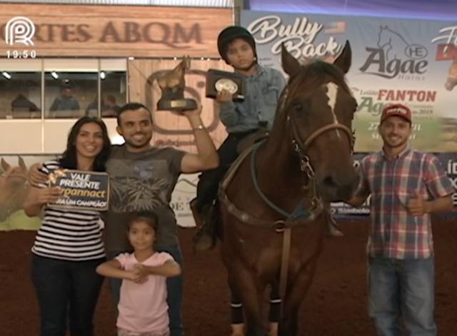 Cavalos quarto de milha despertam amor em famílias