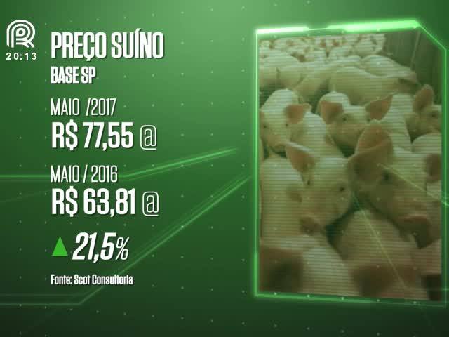 Suíno: aumento do preço recupera as perdas?