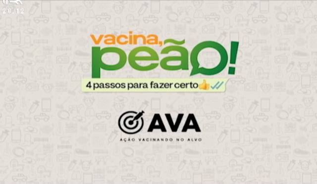 Aftosa: campanha ensina a vacinar corretamente