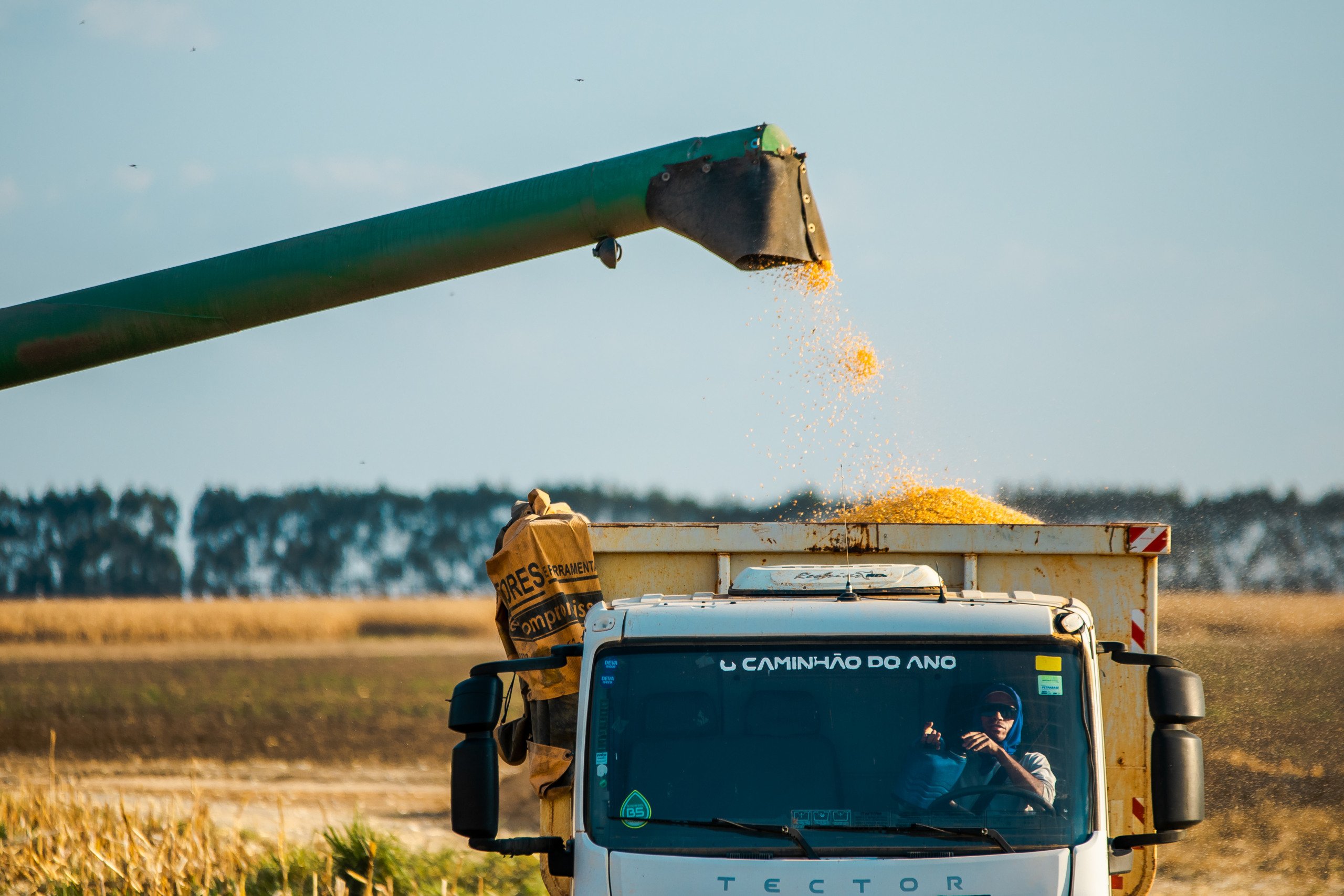 Exportações do agro continuam em alta na Bahia 