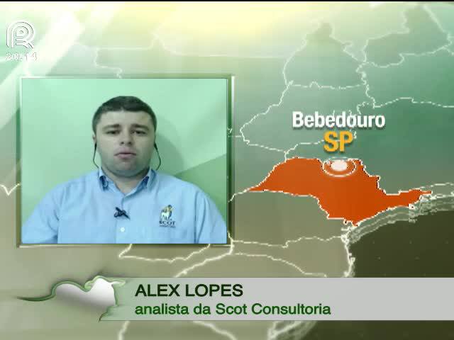 Carne bovina completa sete semanas em queda