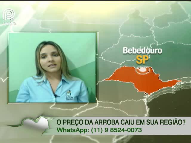 Boi gordo: recuperação dos preços será lenta?