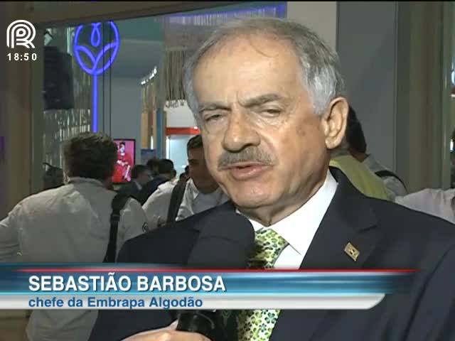 11º Congresso do Algodão discute combate de pragas