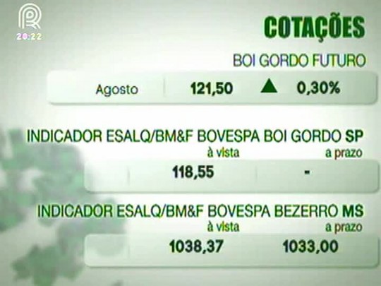 Mercado do boi gordo continua pressionado