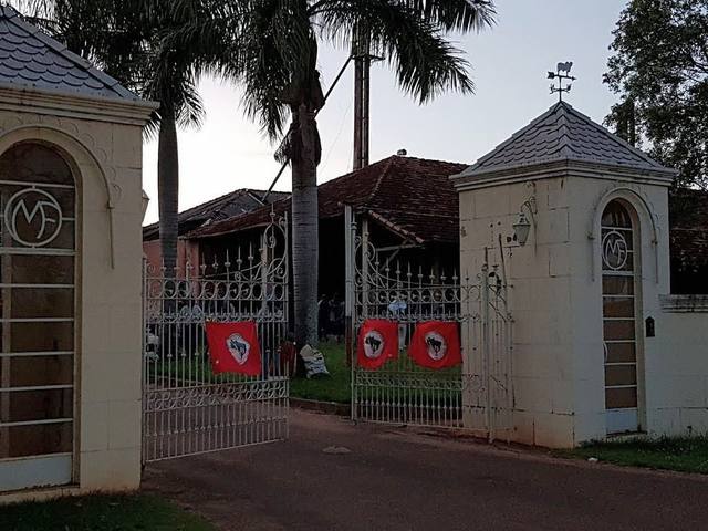 Fonte: Fazenda Oscar Maroni