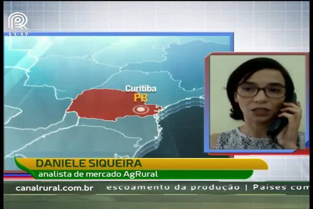 Milho: preço cai 8% no acumulado de março em Chicago