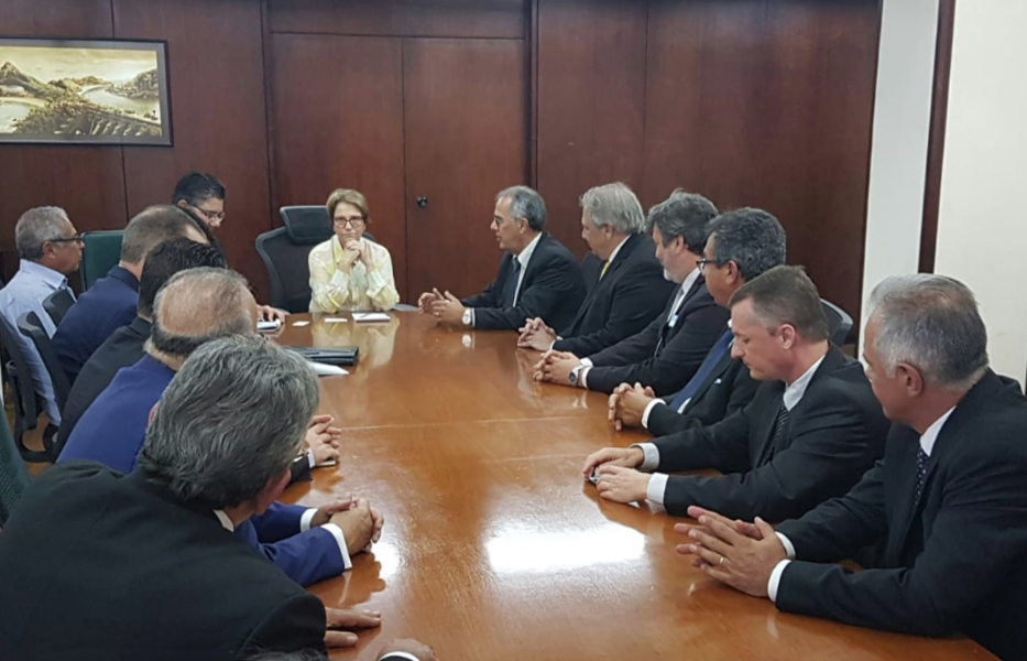 Tereza Cristina anunciando a criação da Câmara Setorial de Carnes a representantes do setor. 