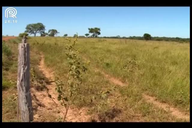 Só 1,5% dos fertilizantes vão para as pastagens