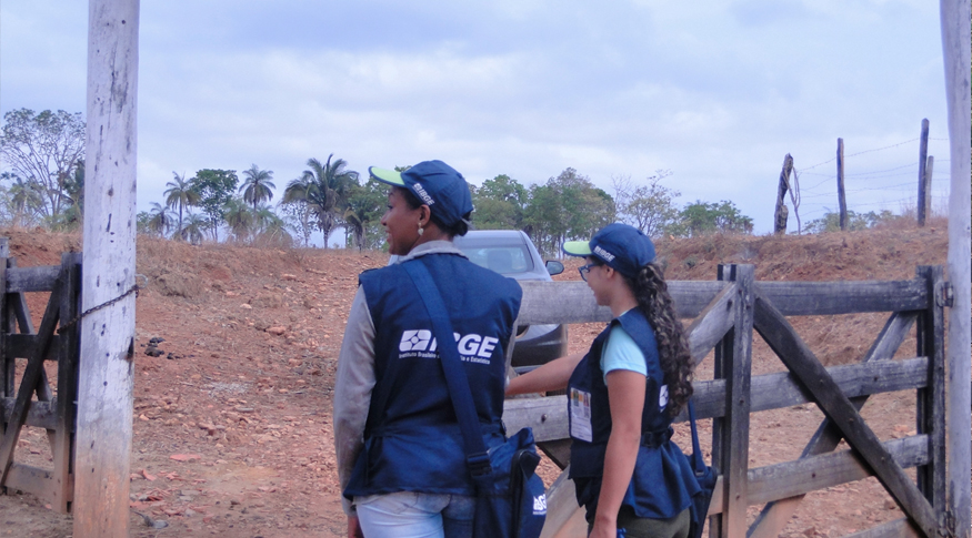 IBGE, censo agropecuário