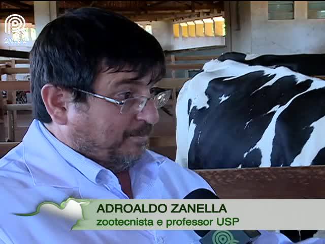 Zootecnia de precisão ajuda a monitorar rebanho