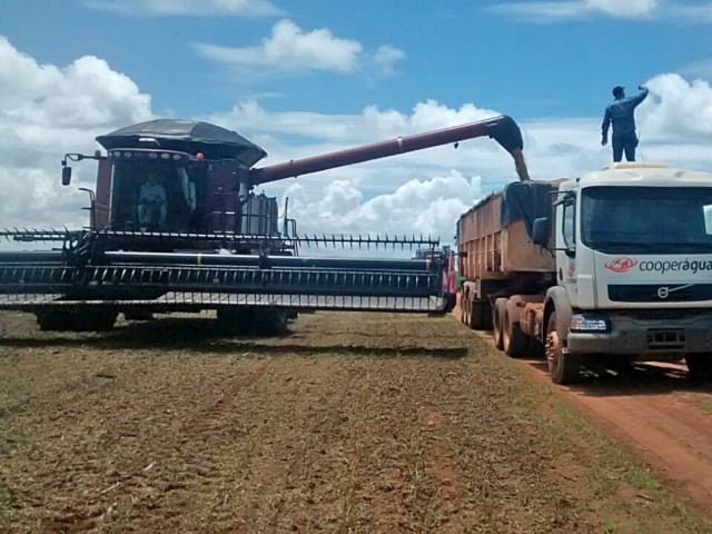 Soja: produtores de MT sofrem com péssimas condições das rodovias