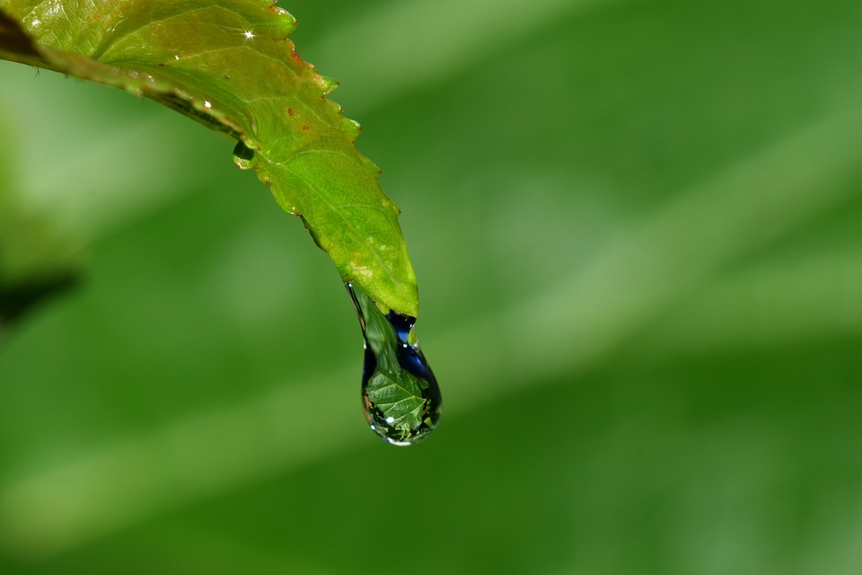 gota de chuva, chuvas, tempo