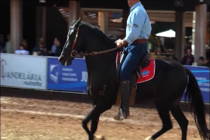 Pesquisa avalia como movimento e estética do marchador ajudam no desempenho 