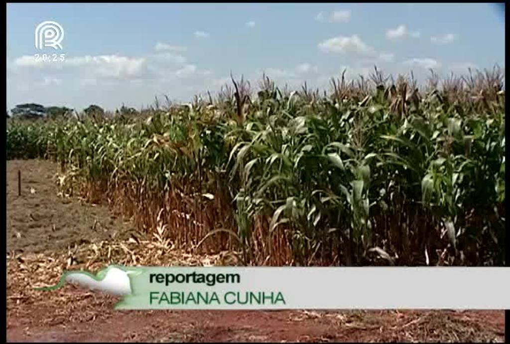 Expozebu Dinâmica estreia em Uberaba