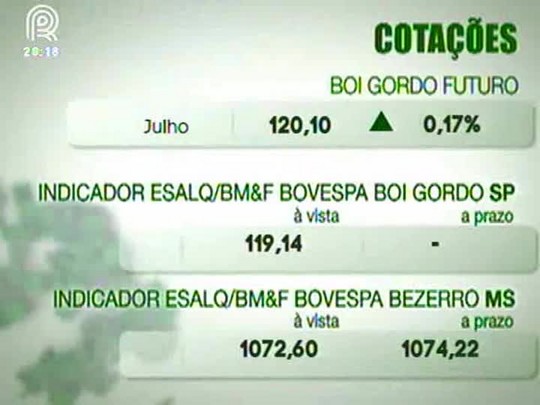 Mercado do boi gordo inicia a semana com poucos negócios