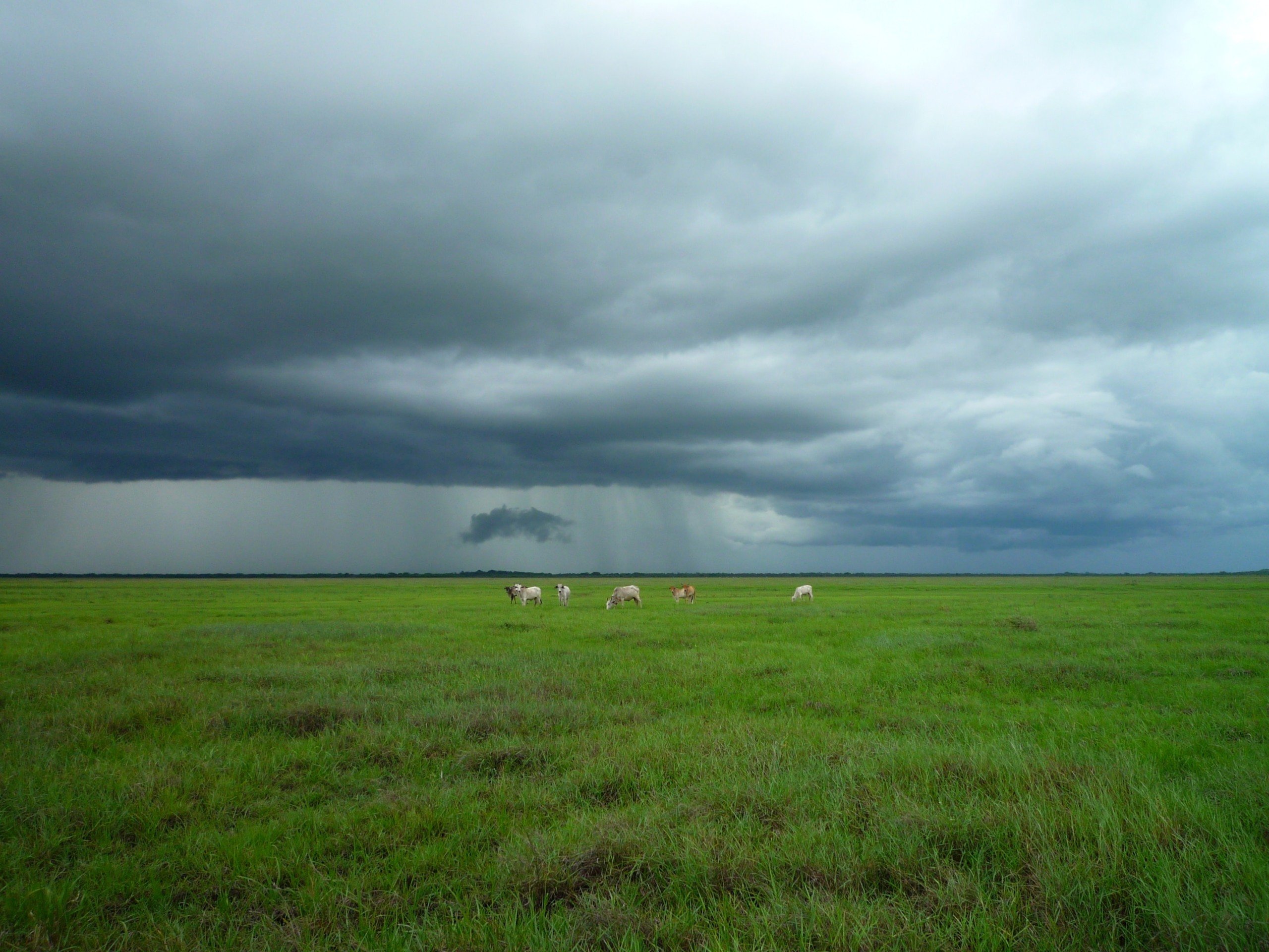 Chuva em campo, chuvas, previsão do tempo