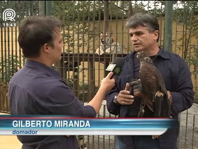 Animais de TV precisam de cuidados especiais