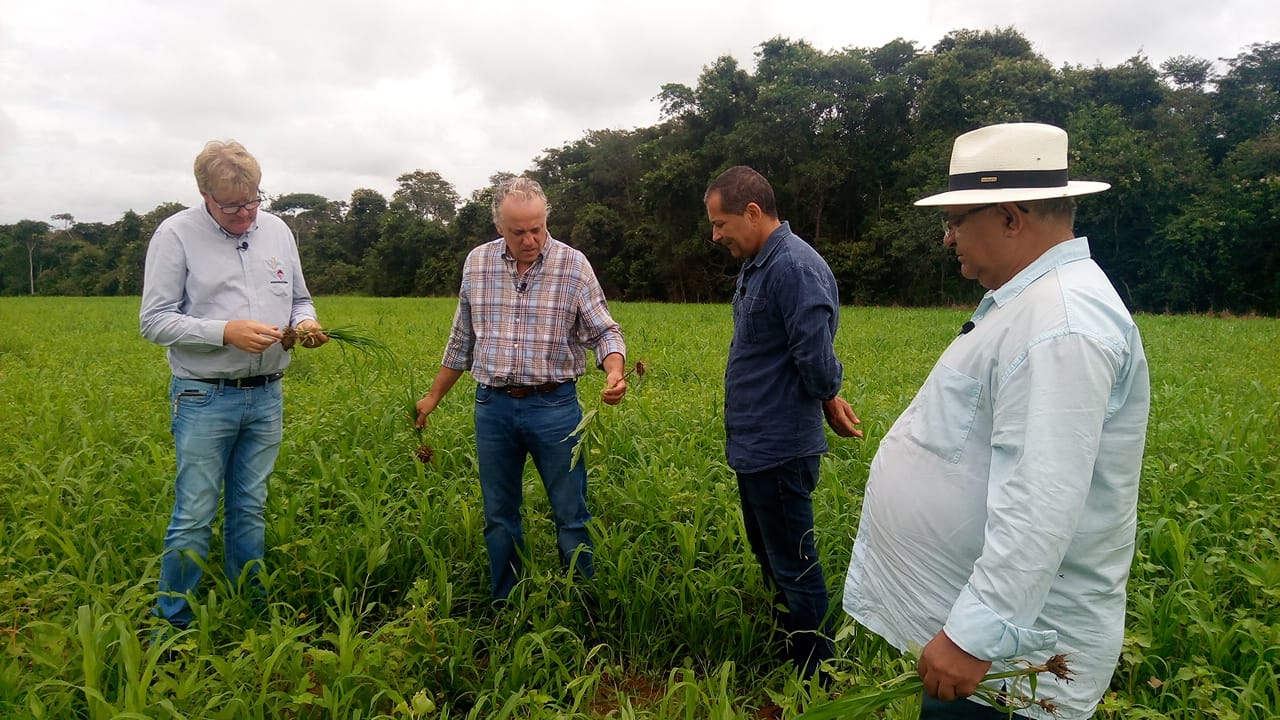 Produtor ganha dinheiro conservando o solo / Foto: Canal Rural