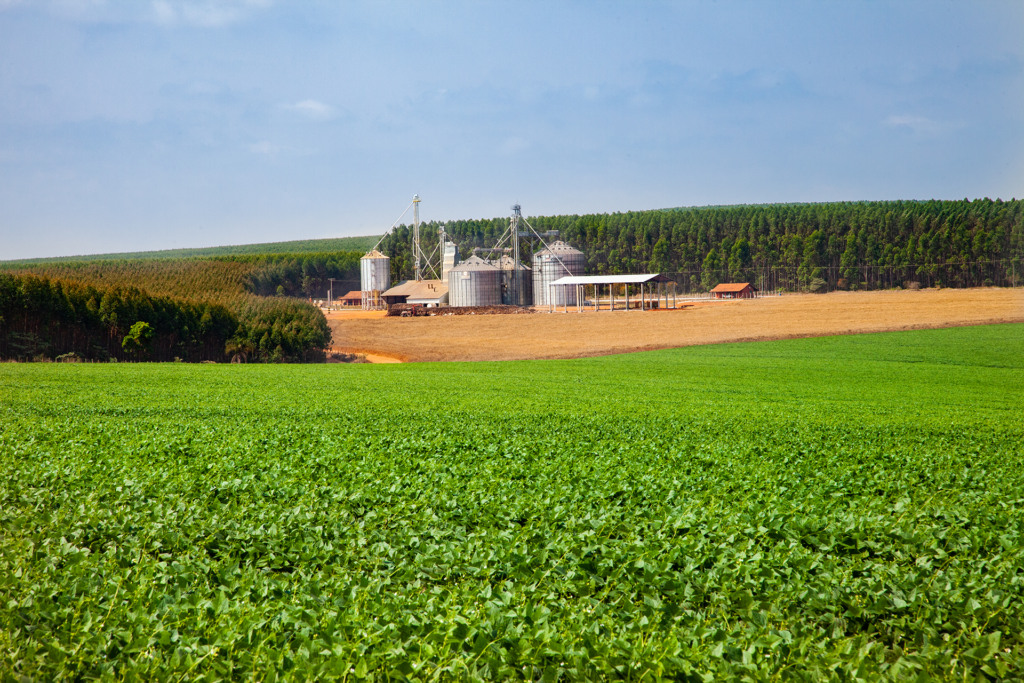 Reserva legal silos soja