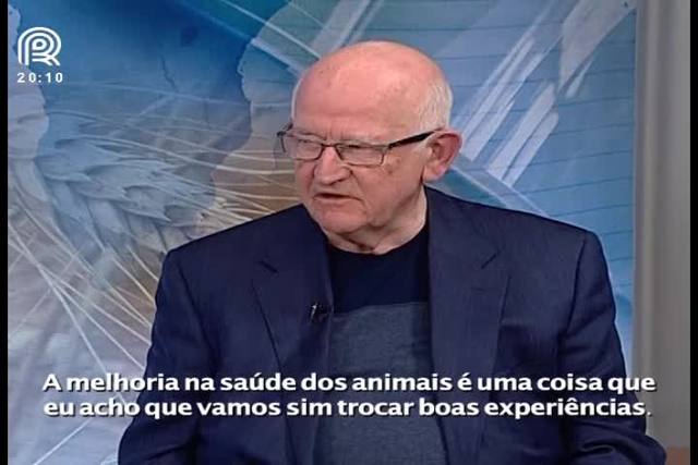 Saiba como irlandeses combatem o mal da vaca louca