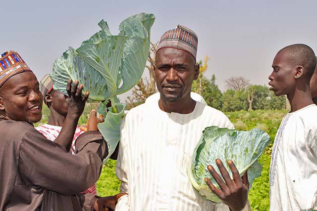 Fonte: Organização das Nações Unidas para a Alimentação e a Agricultura (FAO)