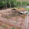 propriedade rural afetada MG, Programa de Recuperação