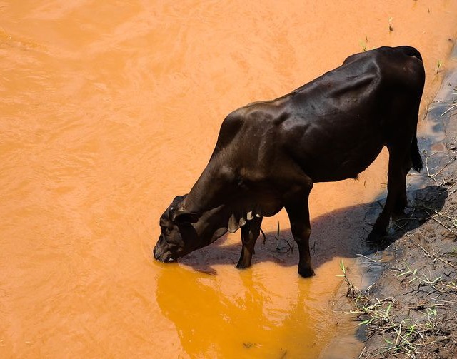 Rio Gualaxo do Norte após dois anos da tragédia do rompimento da Barragem de Fundão da Samarco