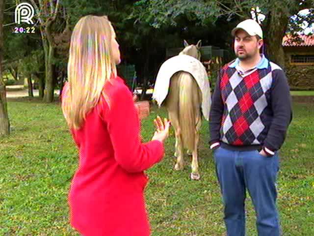 Saiba como cuidar de cavalos no inverno