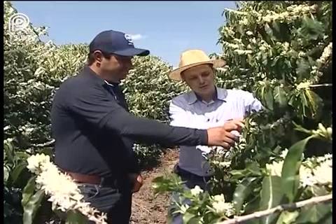 Projeto em Minas Gerais leva técnicas de gestão a cafeicultores