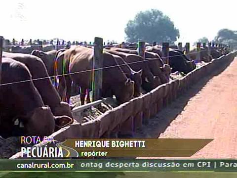 MT: custo de produção da pecuária segue em alta