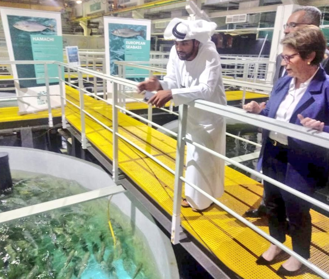 Ministra da Agricultura, criação de peixe, tanque de peixe, Emirados Árabes, Tereza Cristina